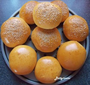 Hambizsemle1_2