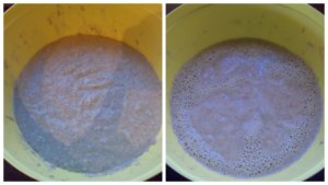 100_-rozskenyer-napraforgomaggal-001