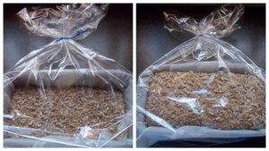 100_-rozskenyer-napraforgomaggal