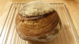 rita-balint-kovis-oreges-feher